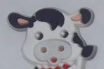 Bottons Animais