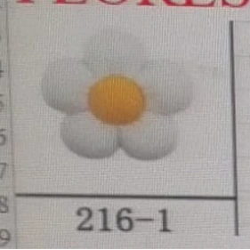 Bottons Flores