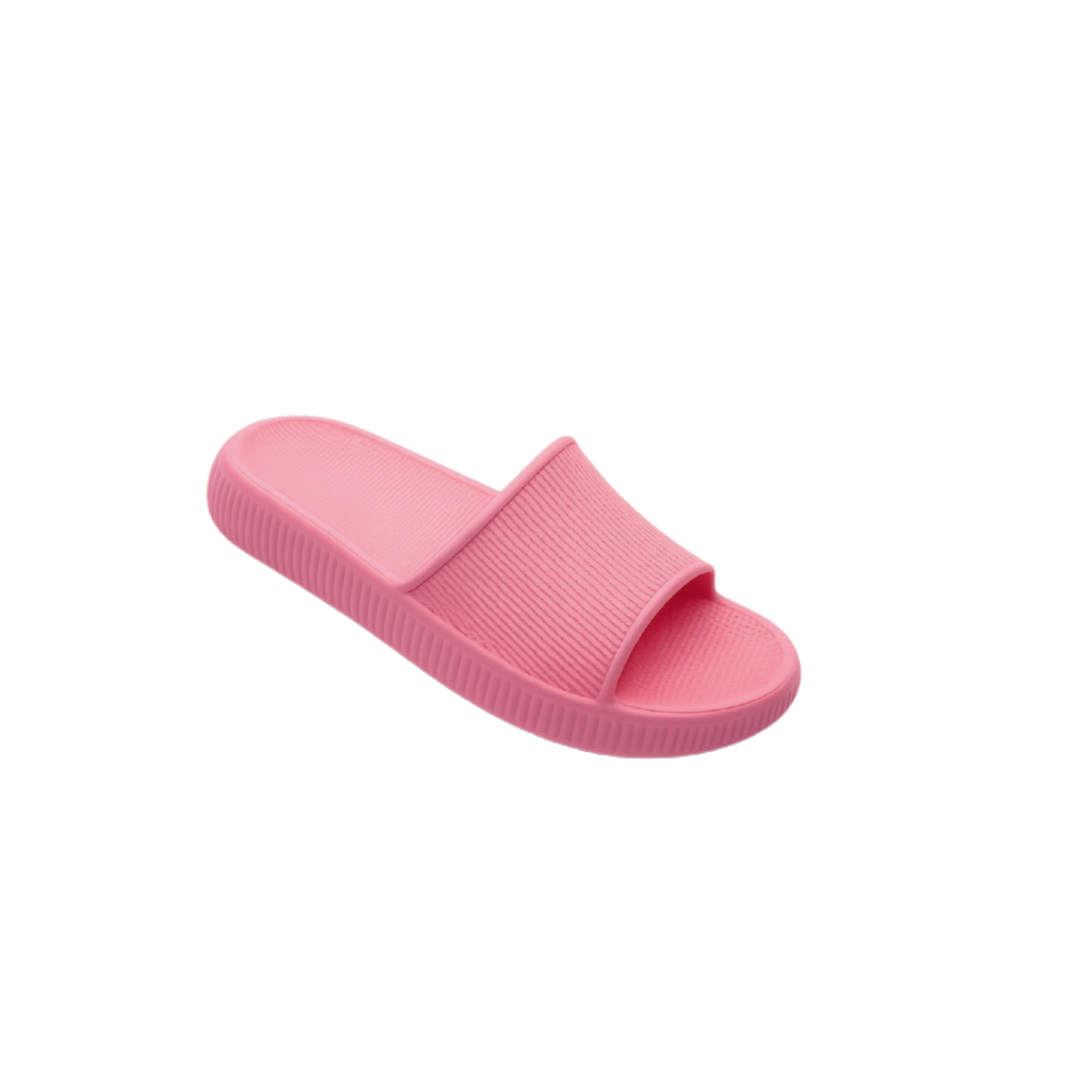 W23107 - Rosa